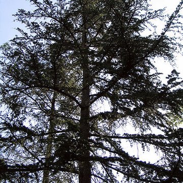 Jardin Massey de Tarbes