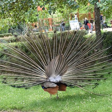 Jardin Massey de Tarbes