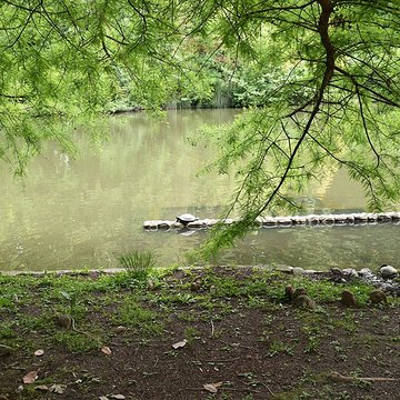 Jardin Massey de Tarbes