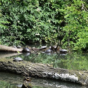 Jardin Massey de Tarbes