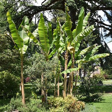 Jardin Massey de Tarbes