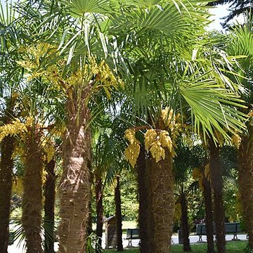 Jardin Massey de Tarbes