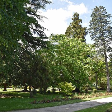 Jardin Massey de Tarbes