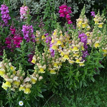 Jardin Massey de Tarbes