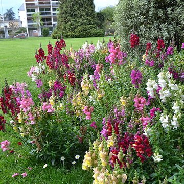 Jardin Massey de Tarbes