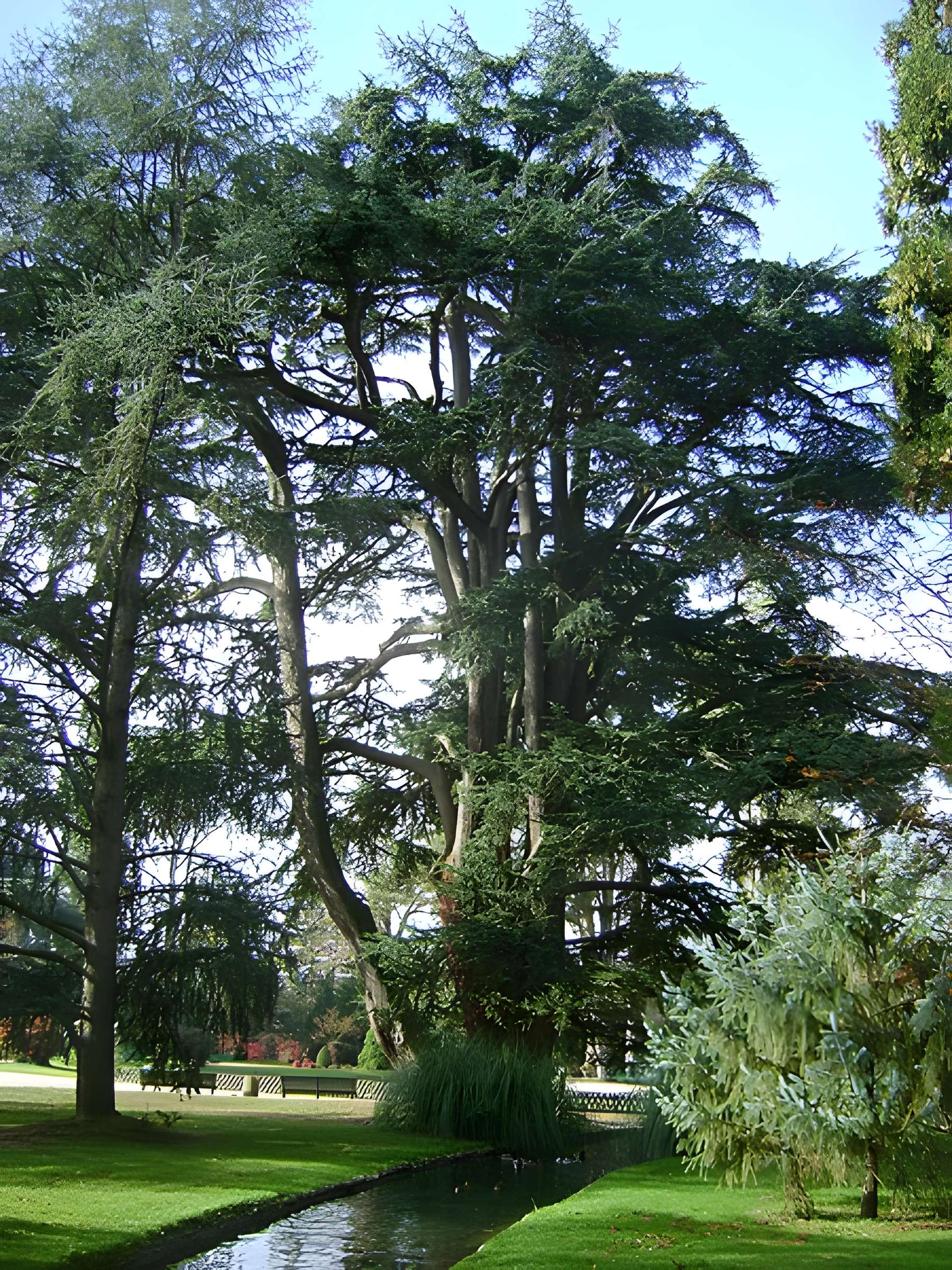 Jardin Massey de Tarbes