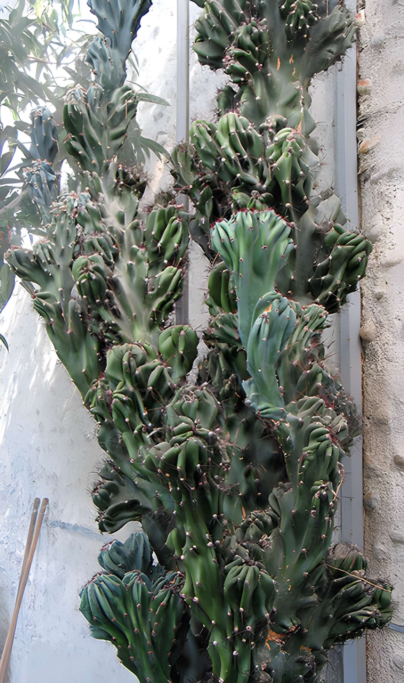 Jardin Massey de Tarbes