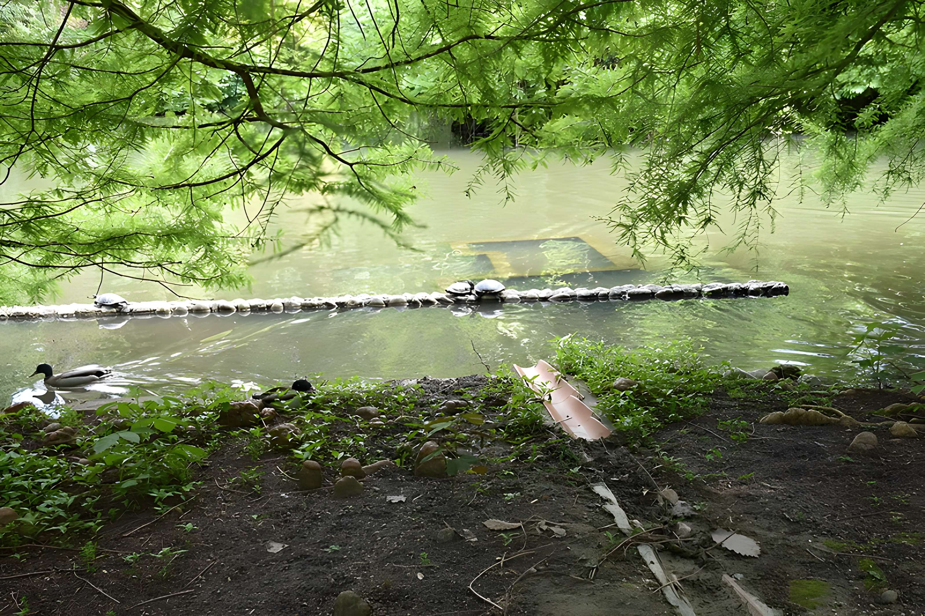 Jardin Massey de Tarbes