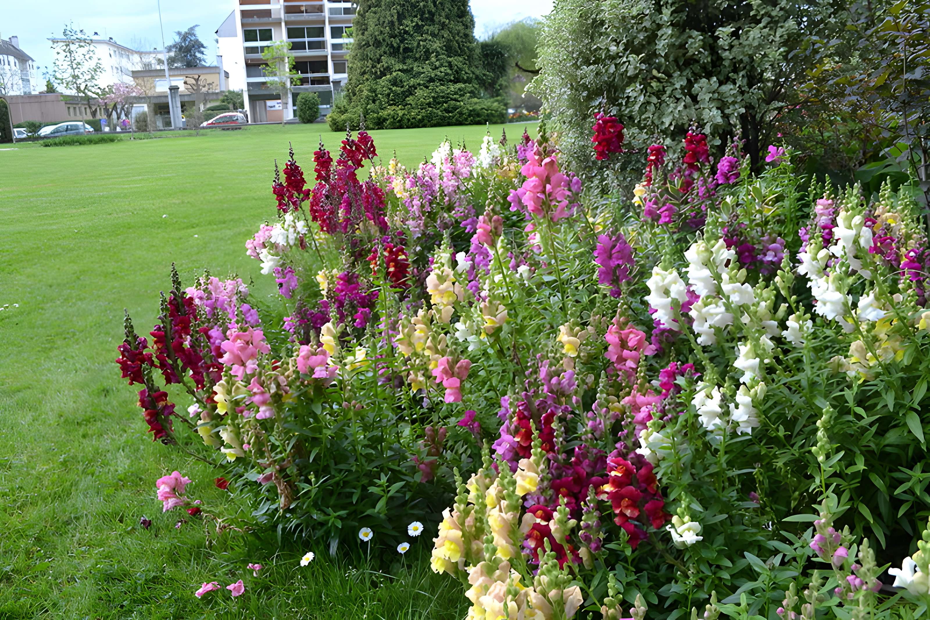 Jardin Massey de Tarbes