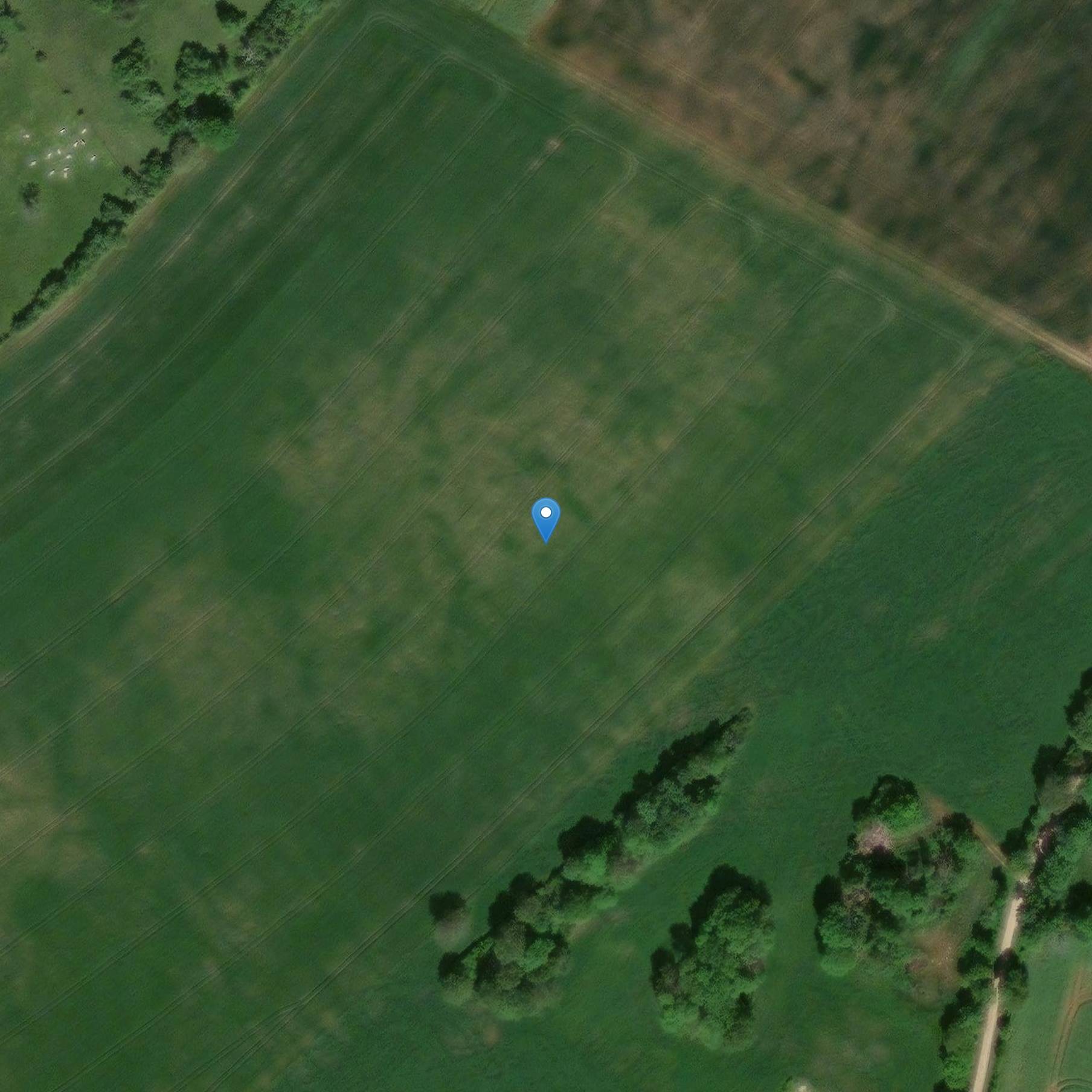 Photo de La grille en fer forgé du Choeur de l'abbaye de Morimond