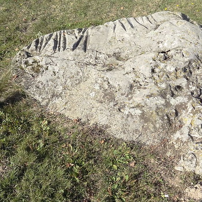 Photo de La Pierre Cochée de Droué