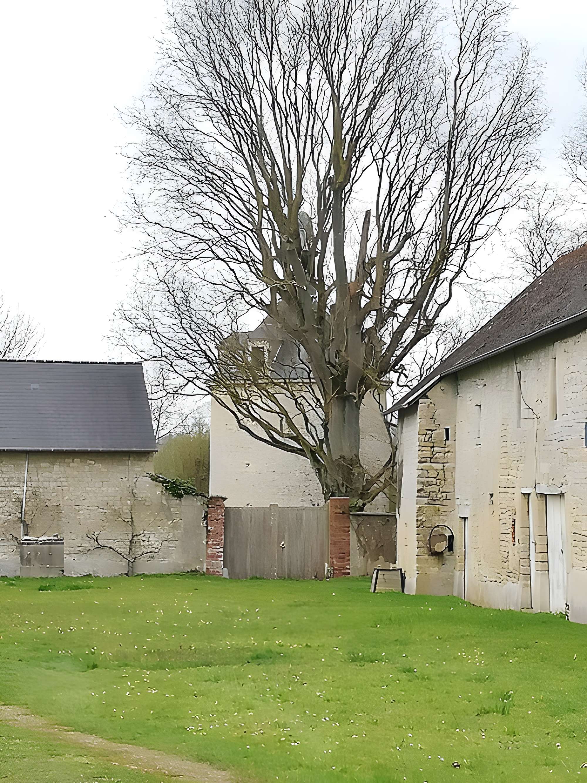 Château des Fresnes