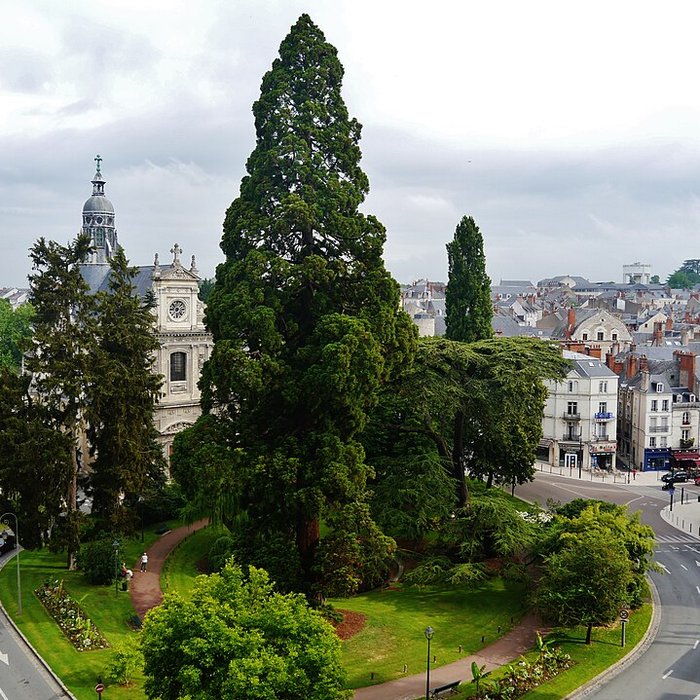 Photo de Le collège jésuite de Blois