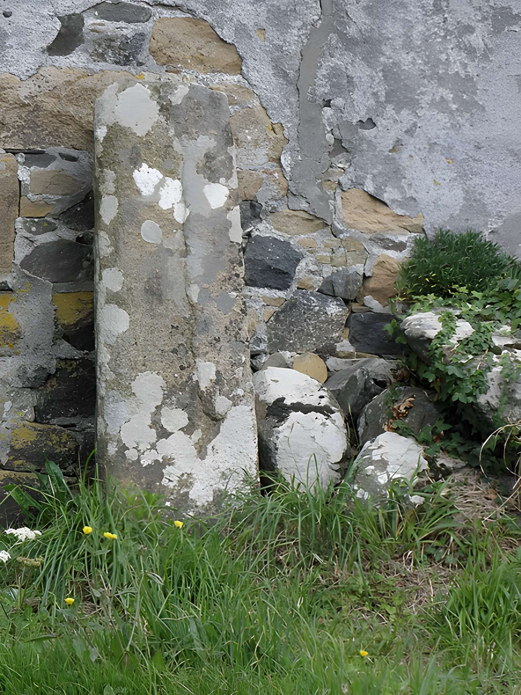 Lec'h de Kermenhir à Plougasnou