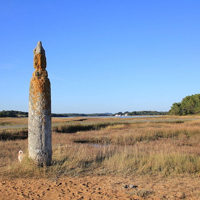 Photo de Lech de Men-er-Menah à Locoal-Mendon