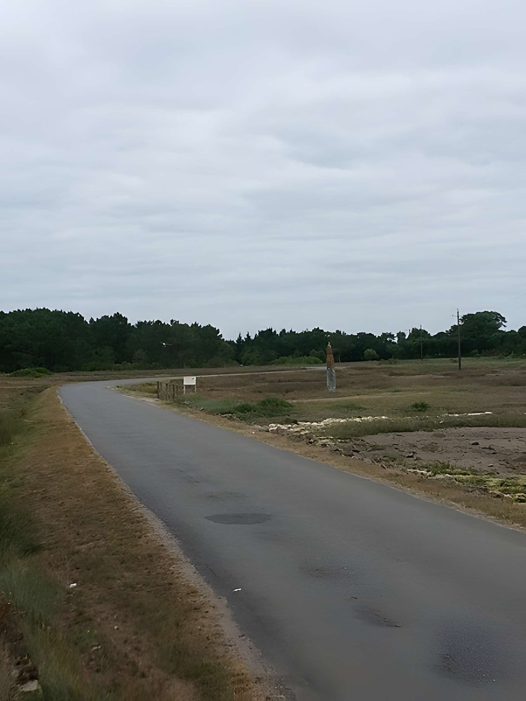 Lech de Men-er-Menah à Locoal-Mendon