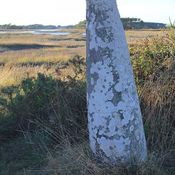 Photo de Lech de Pen-er-Pont à Locoal-Mendon
