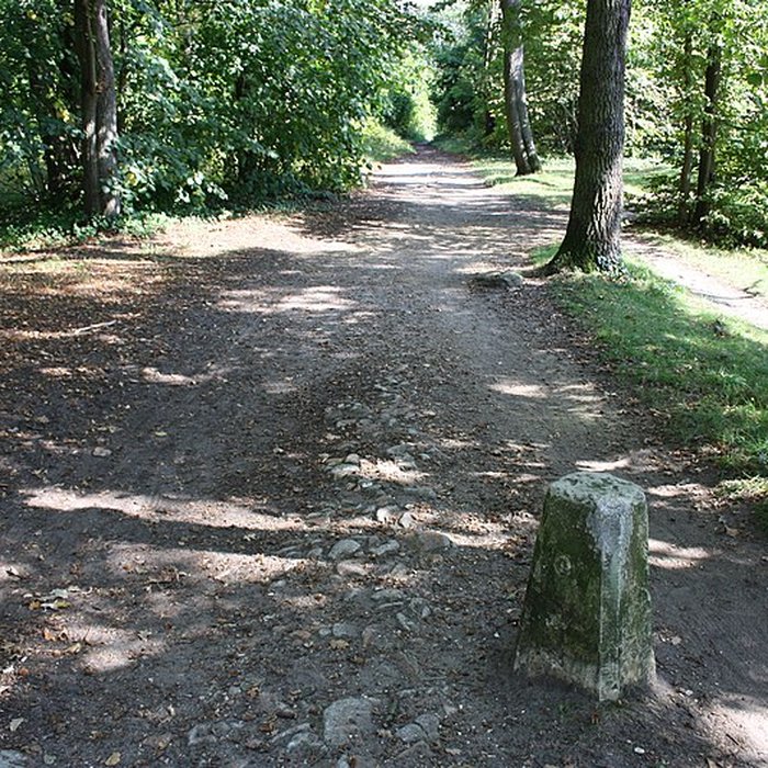 Photo de Les Caves du Nord à Maisons-Laffitte