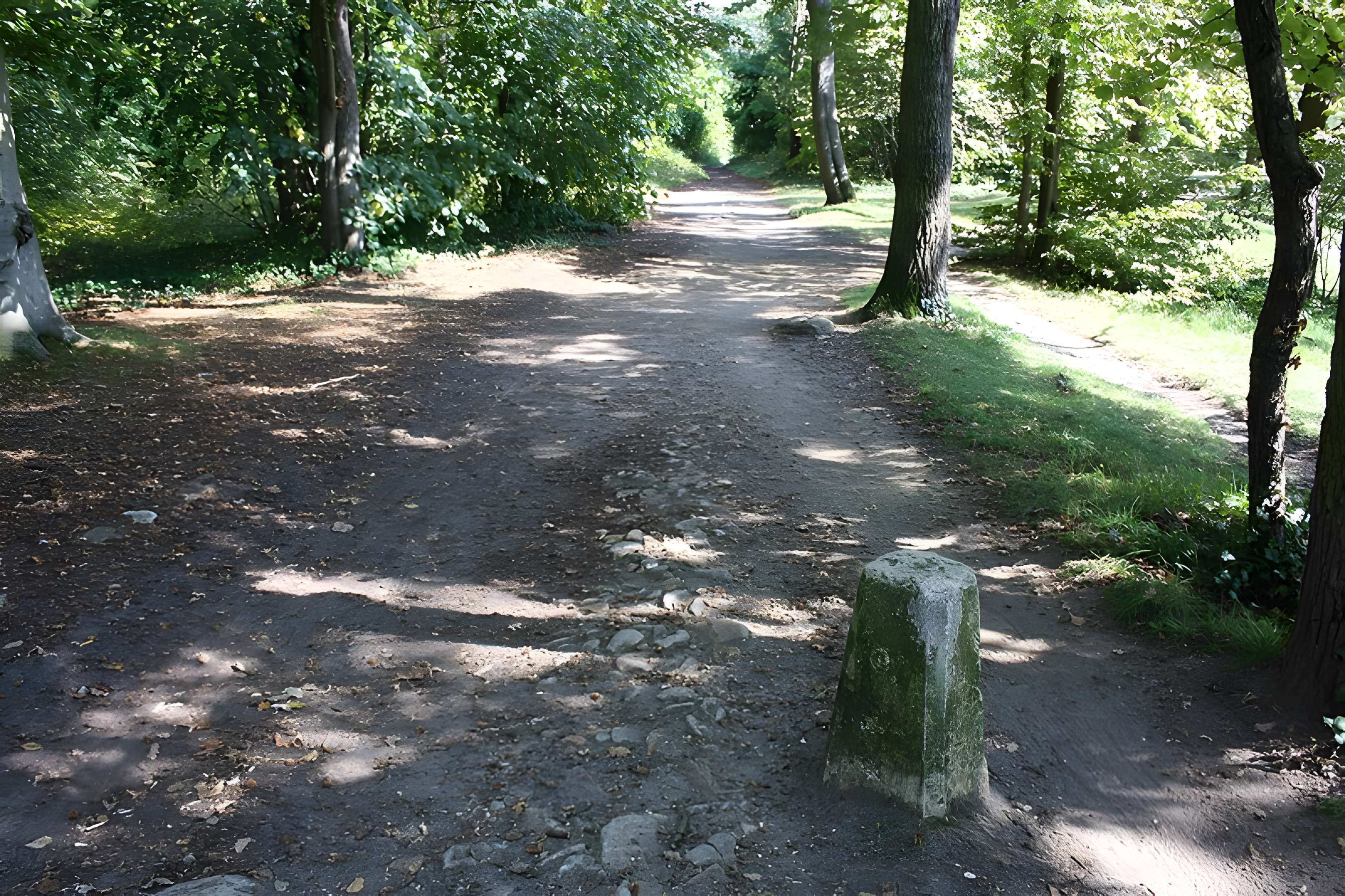 Les Caves du Nord à Maisons-Laffitte