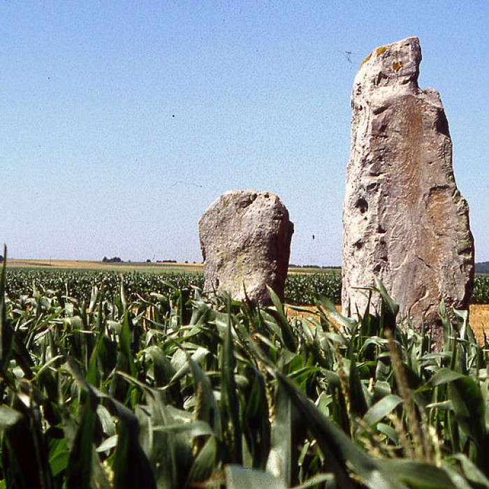 Photo de Les Pierres Jumelles de Mont-Saint-Eloi