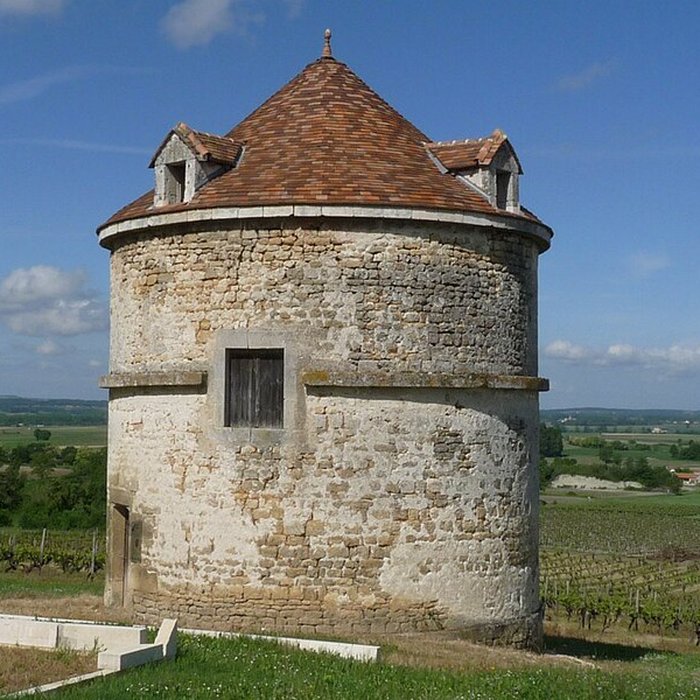 Photo de Château dArdenne