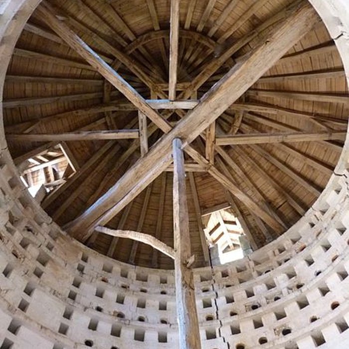 Photo de Château dArdenne