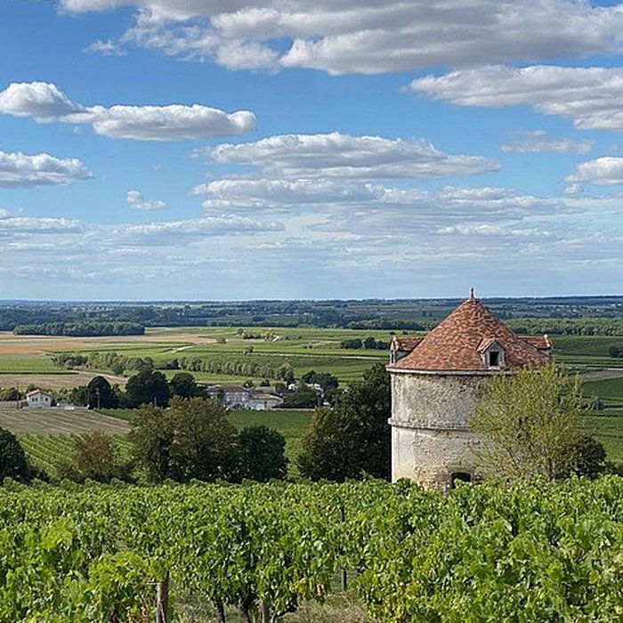 Photo de Château dArdenne
