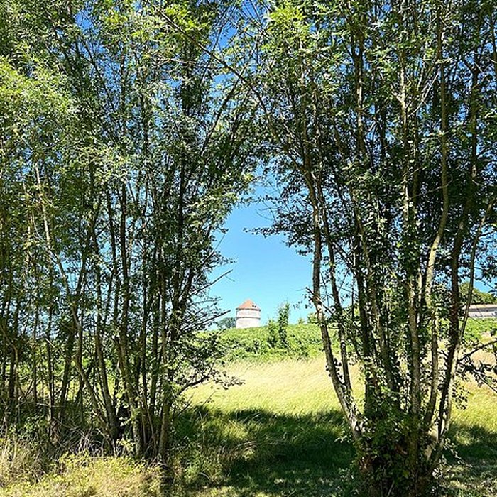 Photo de Château dArdenne