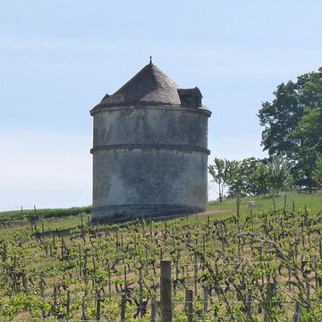 Château dArdenne