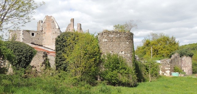 Photo de Logis de la Basse-Guerche à Chaudefonds-sur-Layon