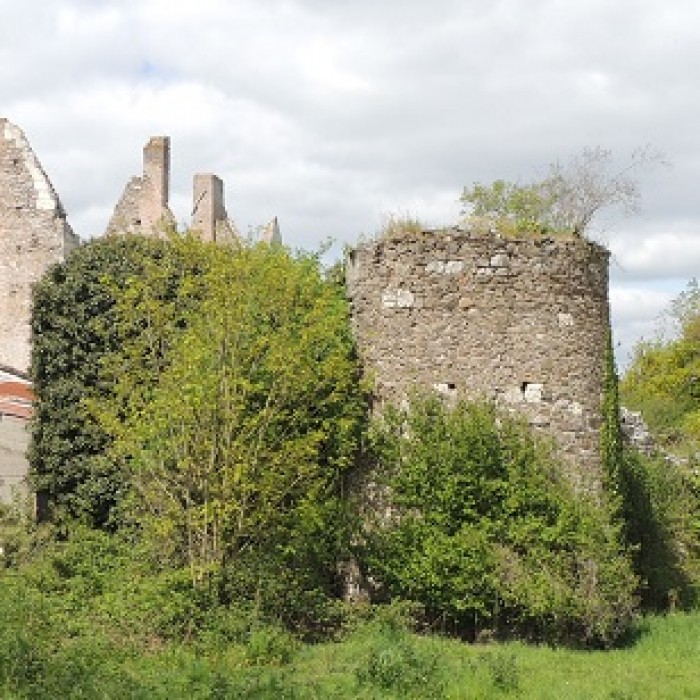 Photo de Logis de la Basse-Guerche à Chaudefonds-sur-Layon