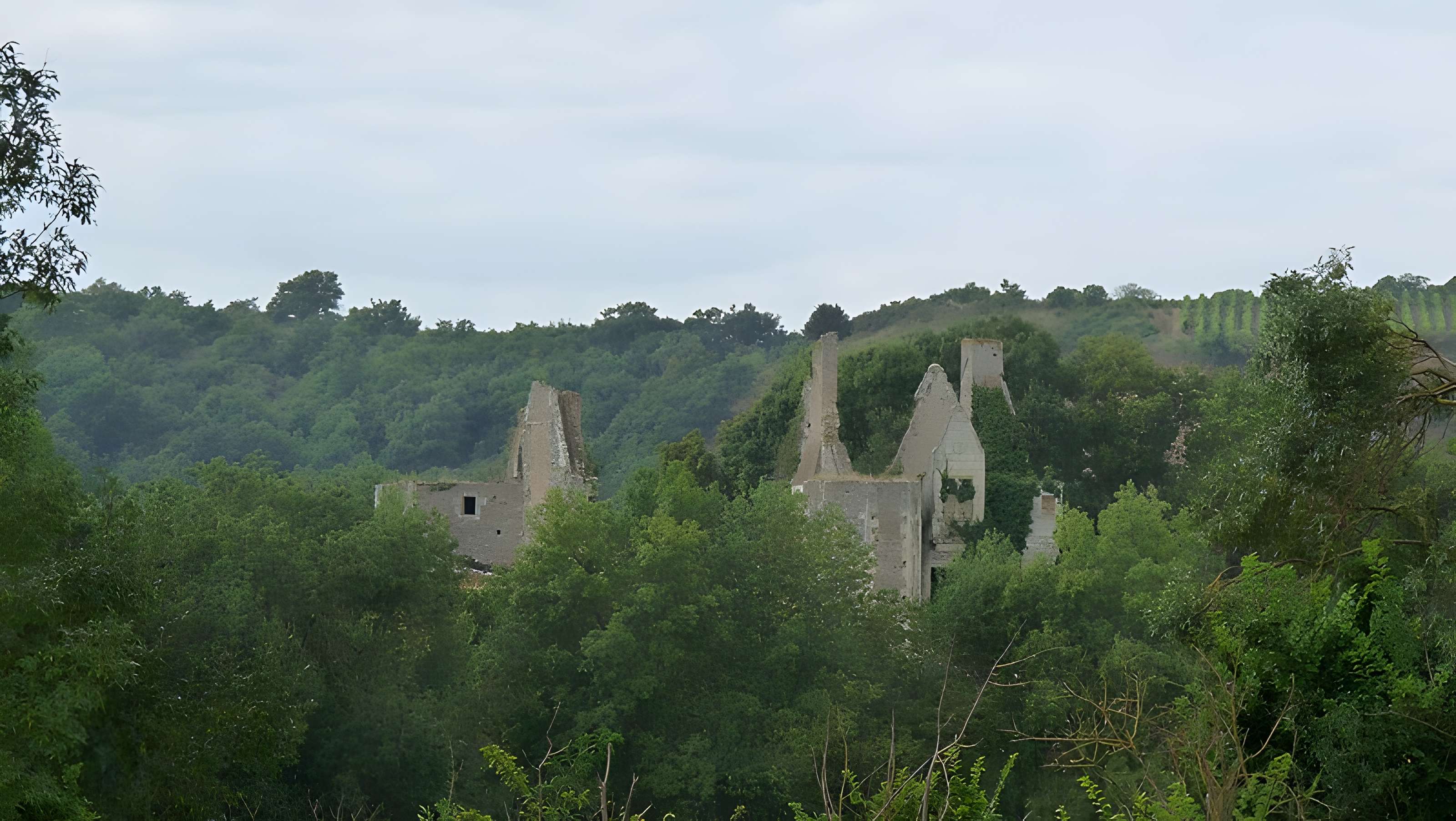 Logis de la Basse-Guerche à Chaudefonds-sur-Layon