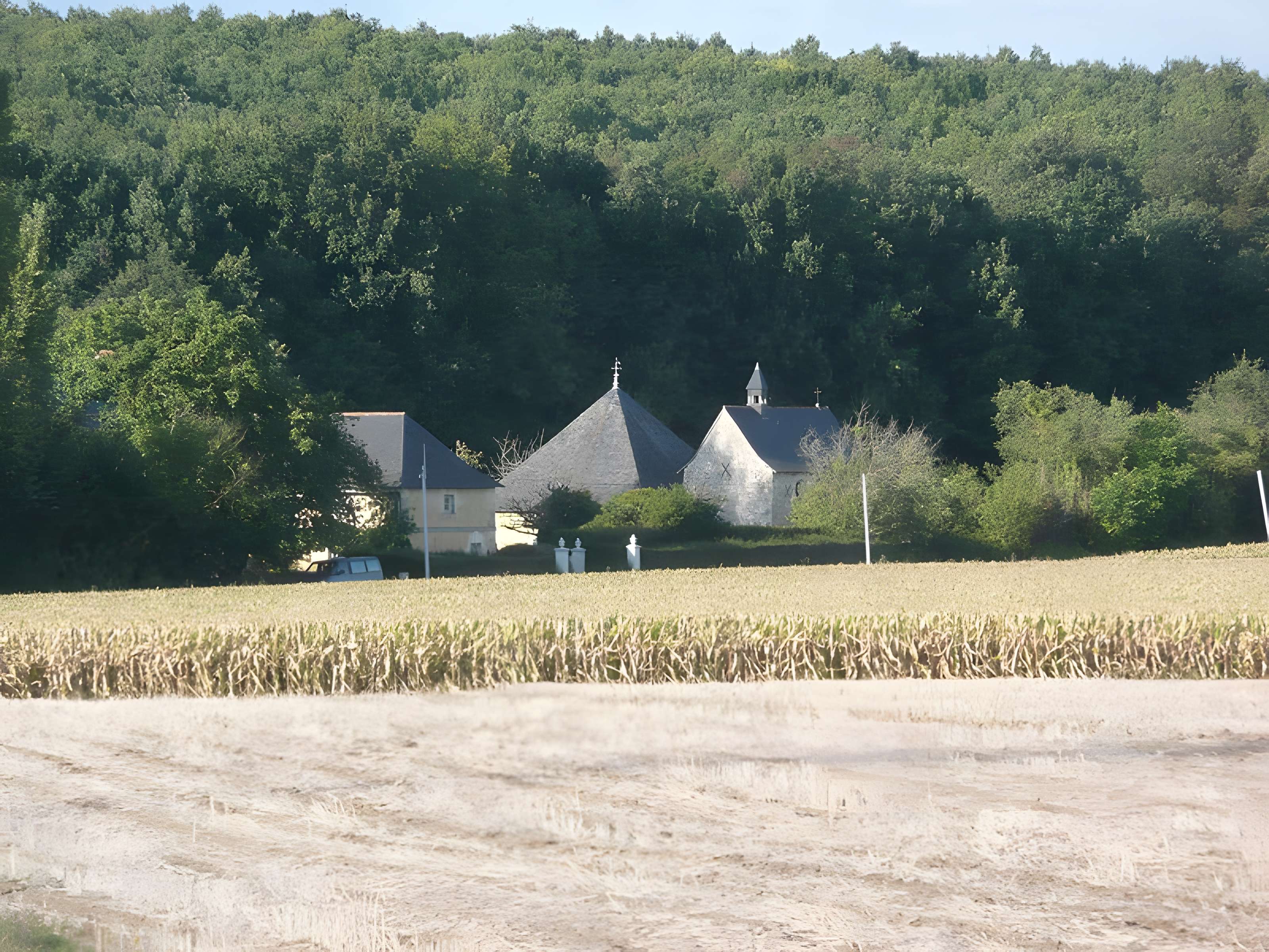Logis de la Bluttière à Charcé-Saint-Ellier-sur-Aubance 