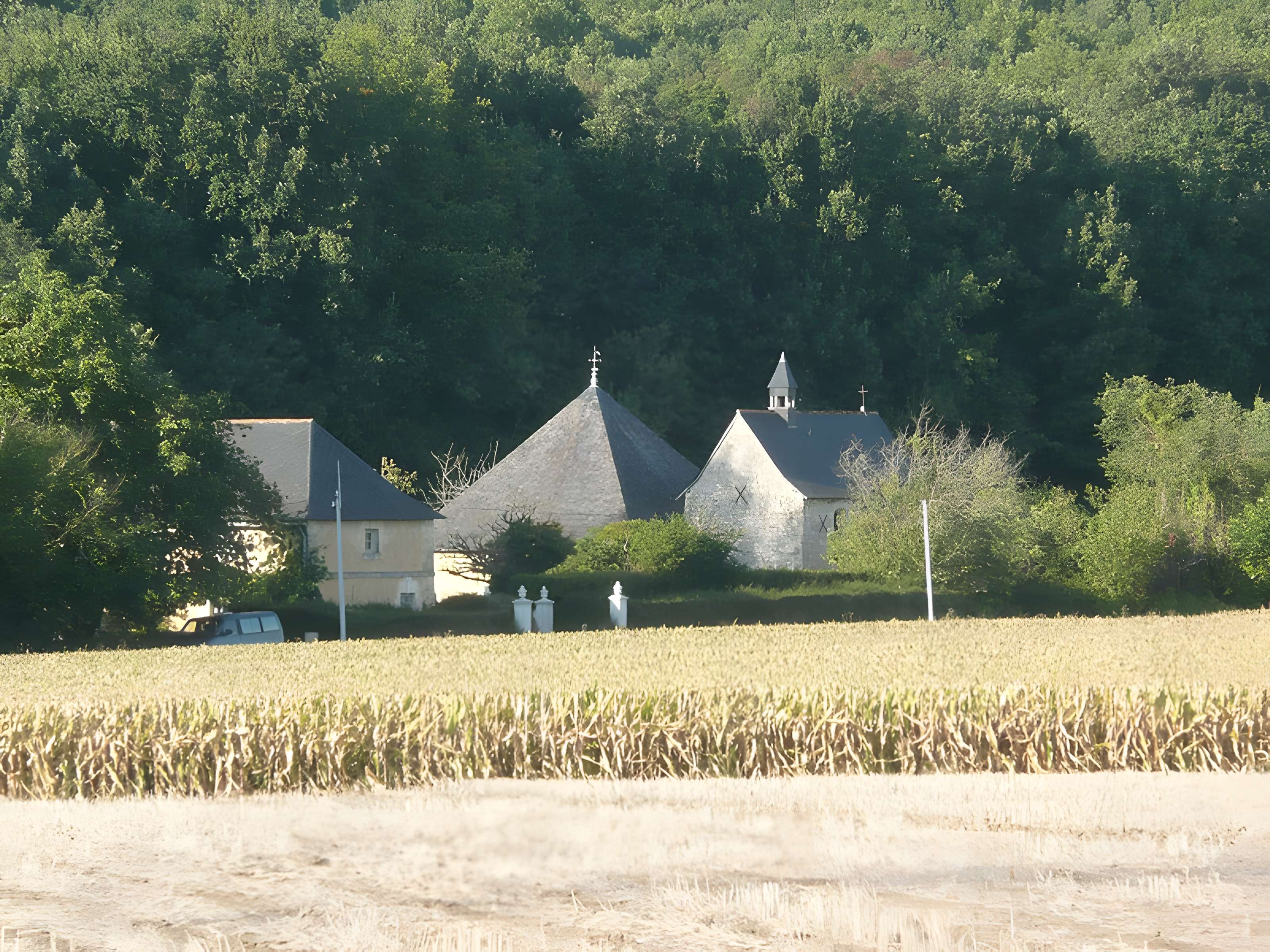 Logis de la Bluttière à Charcé-Saint-Ellier-sur-Aubance