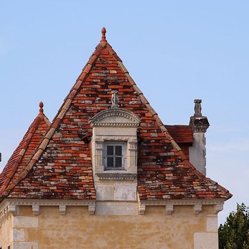 Logis de lÉclopard à Gensac-la-Pallue
