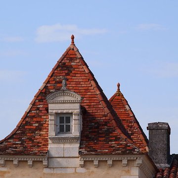 Logis de lÉclopard à Gensac-la-Pallue