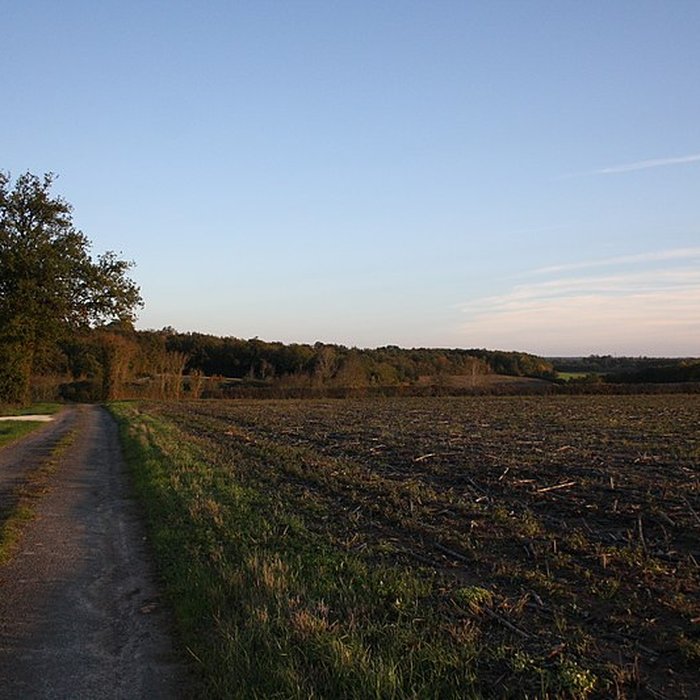 Photo de Logis de Maine-Moreau à Annepont