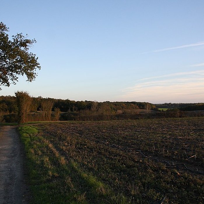 Photo de Logis de Maine-Moreau à Annepont