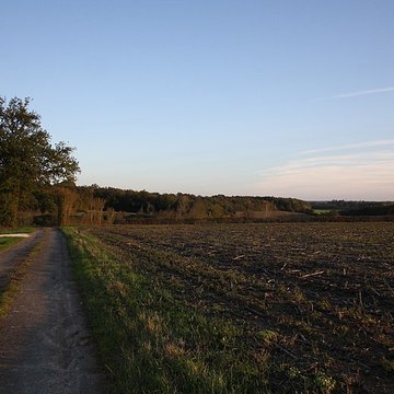 Logis de Maine-Moreau à Annepont 
