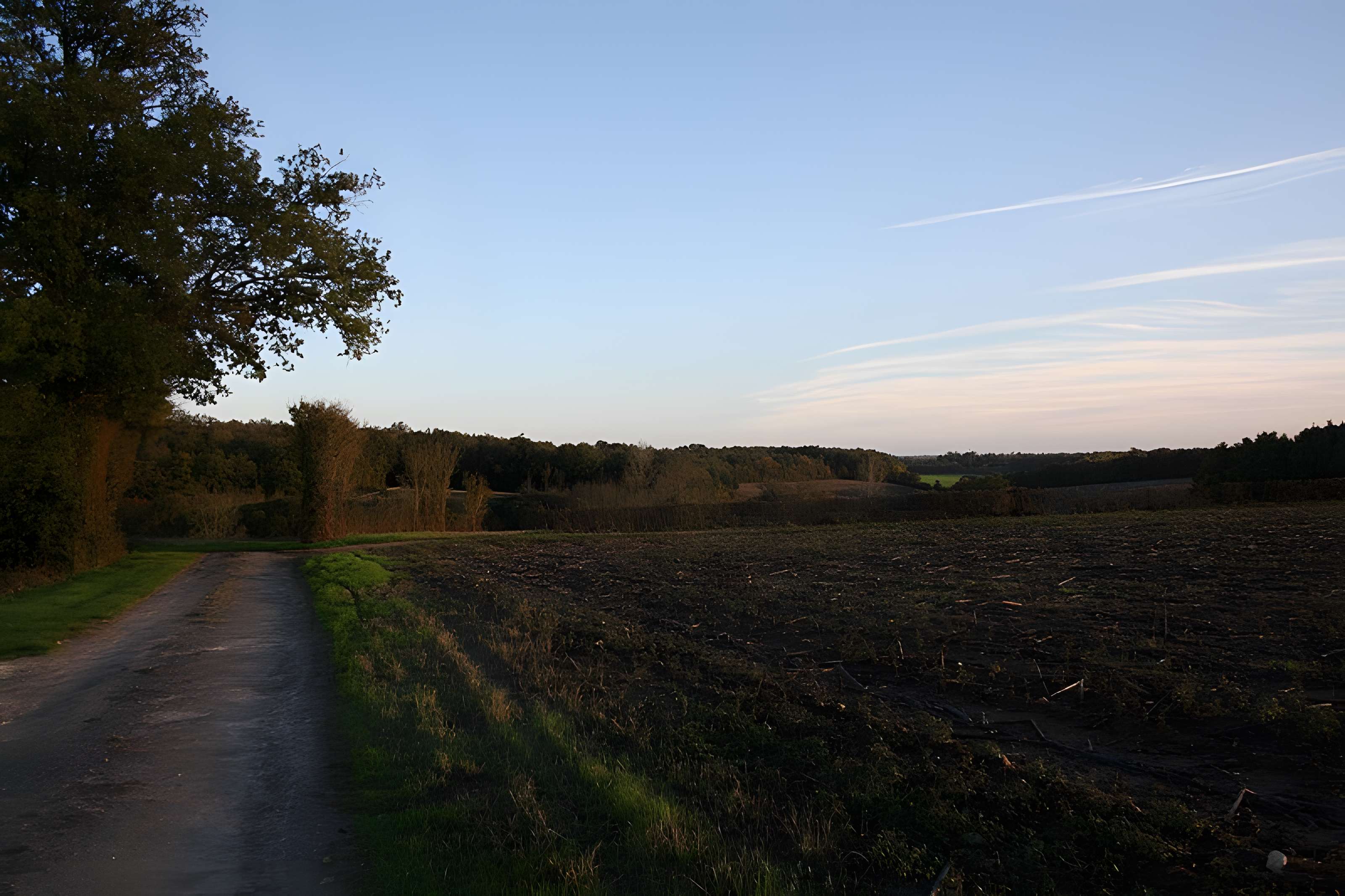 Logis de Maine-Moreau à Annepont 