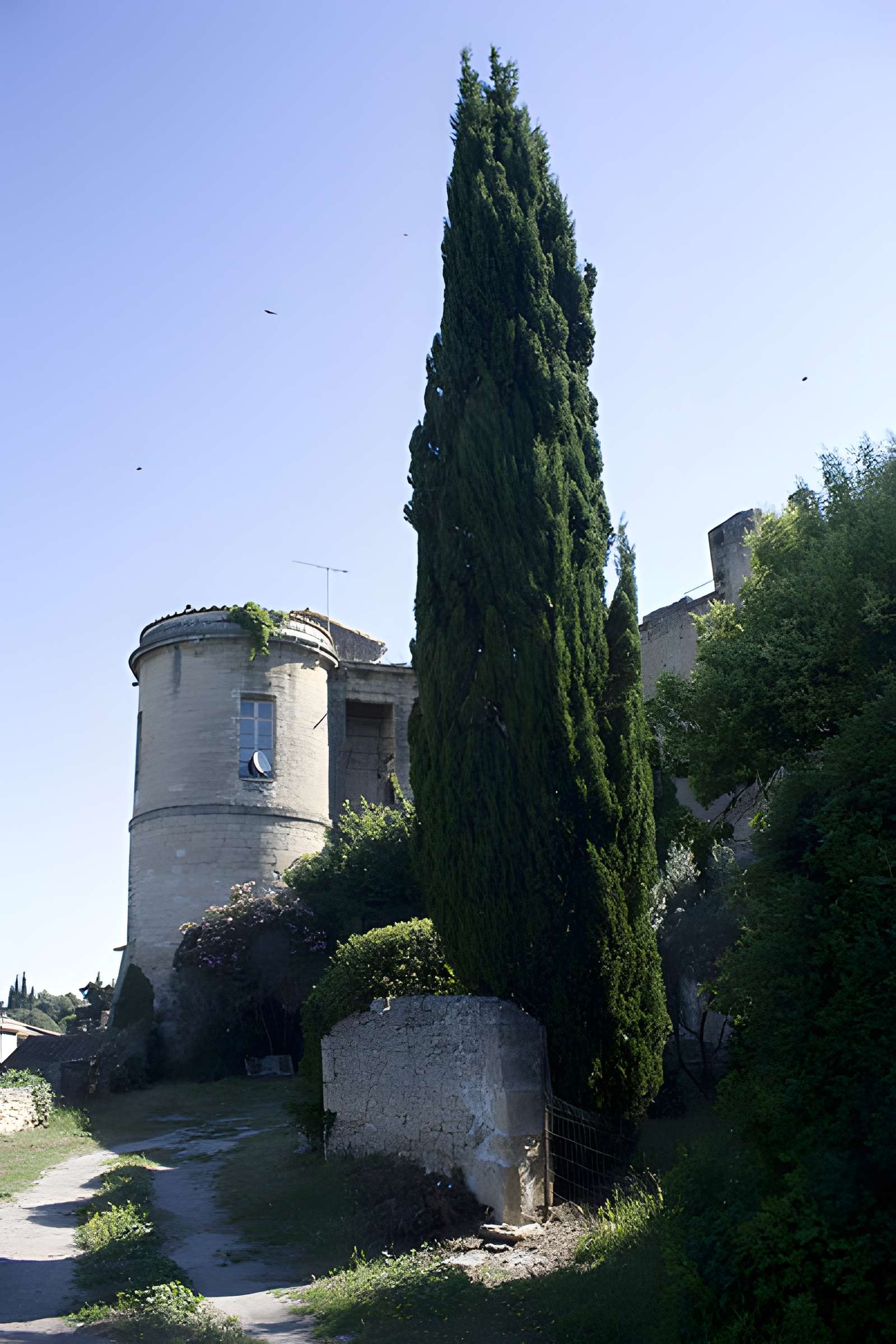 Château d'Aubais