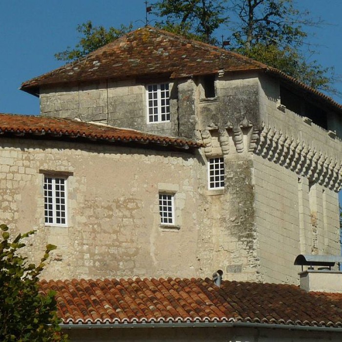 Photo de Château dAubeterre