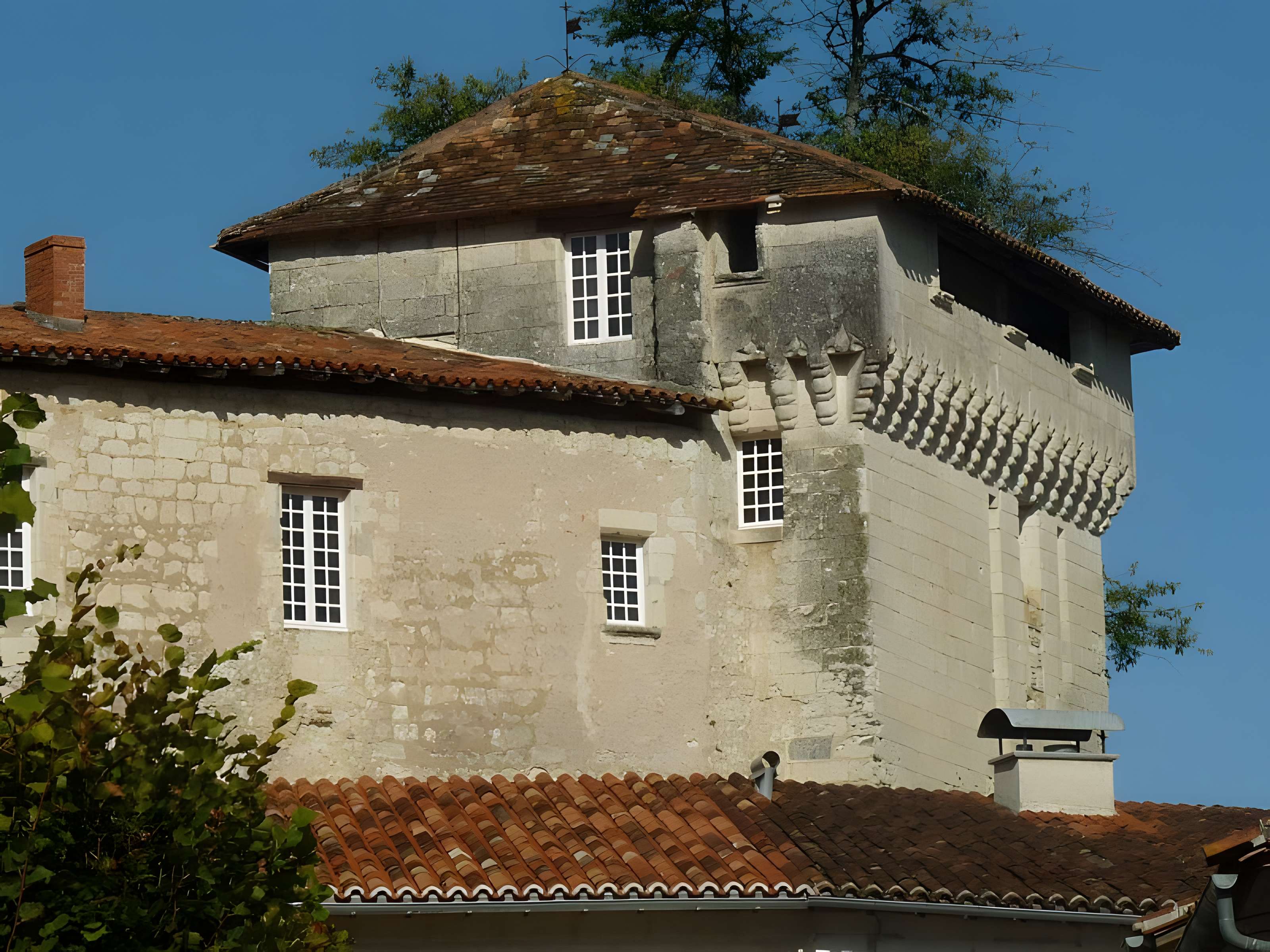 Château d'Aubeterre 