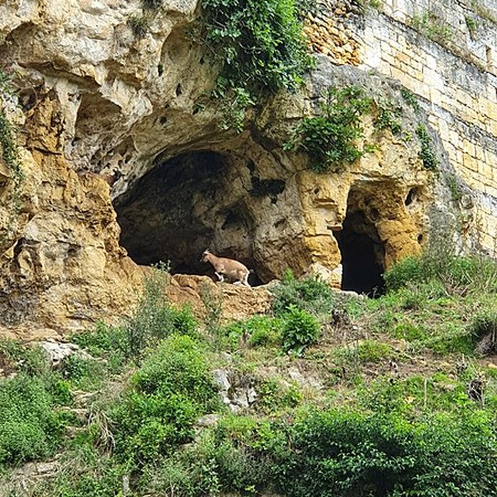 Photo de Château dAucors