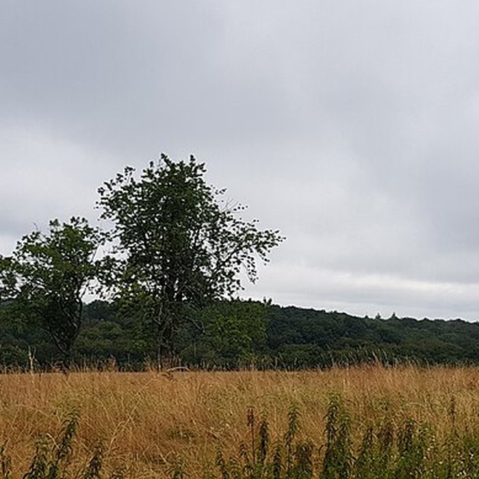 Photo de Logis seigneurial de Saint-Martin-le-Mault