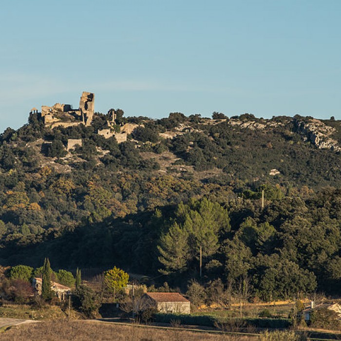 Photo de Ensemble médiéval du Castellas