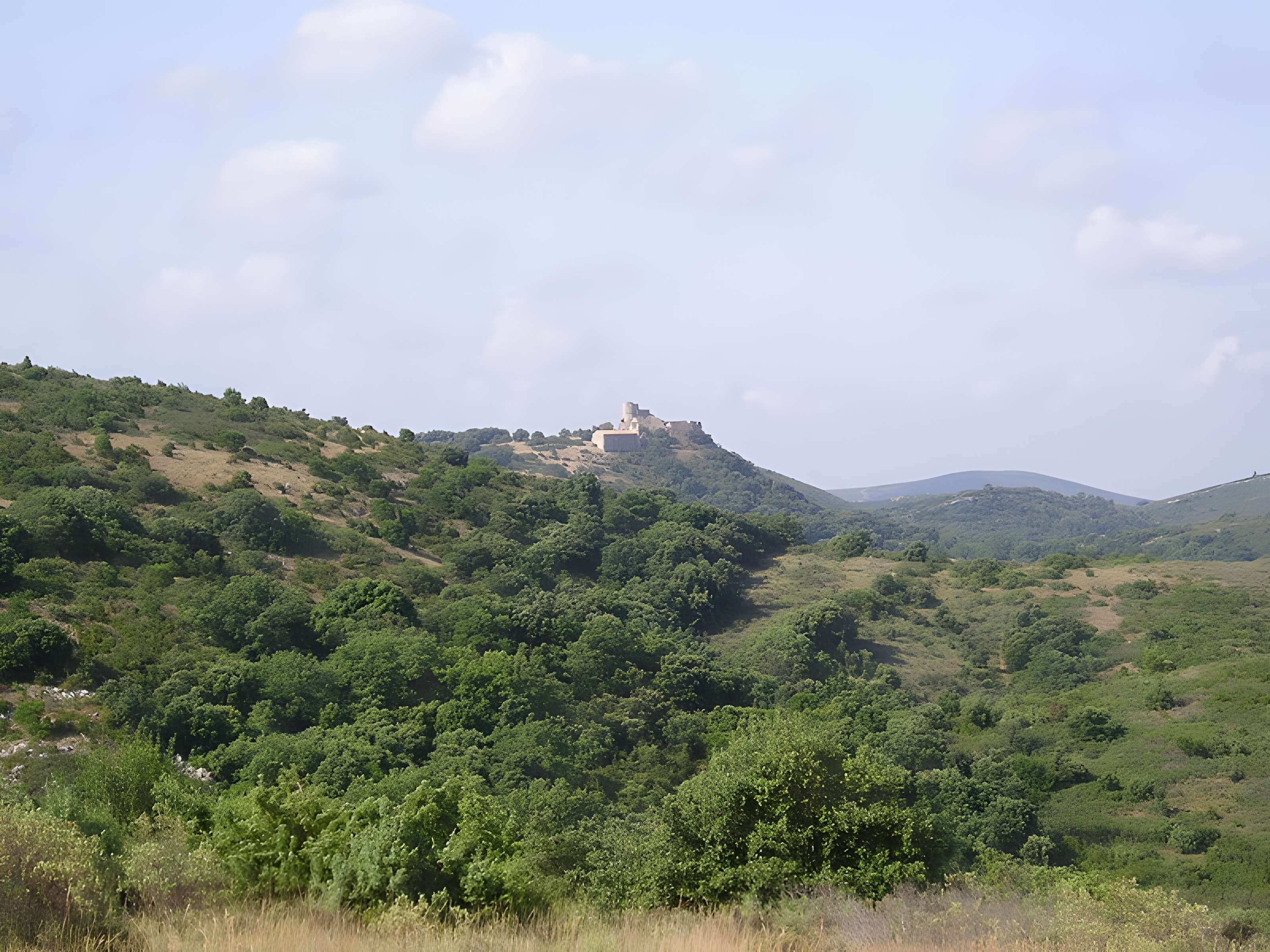 Ensemble médiéval du Castellas