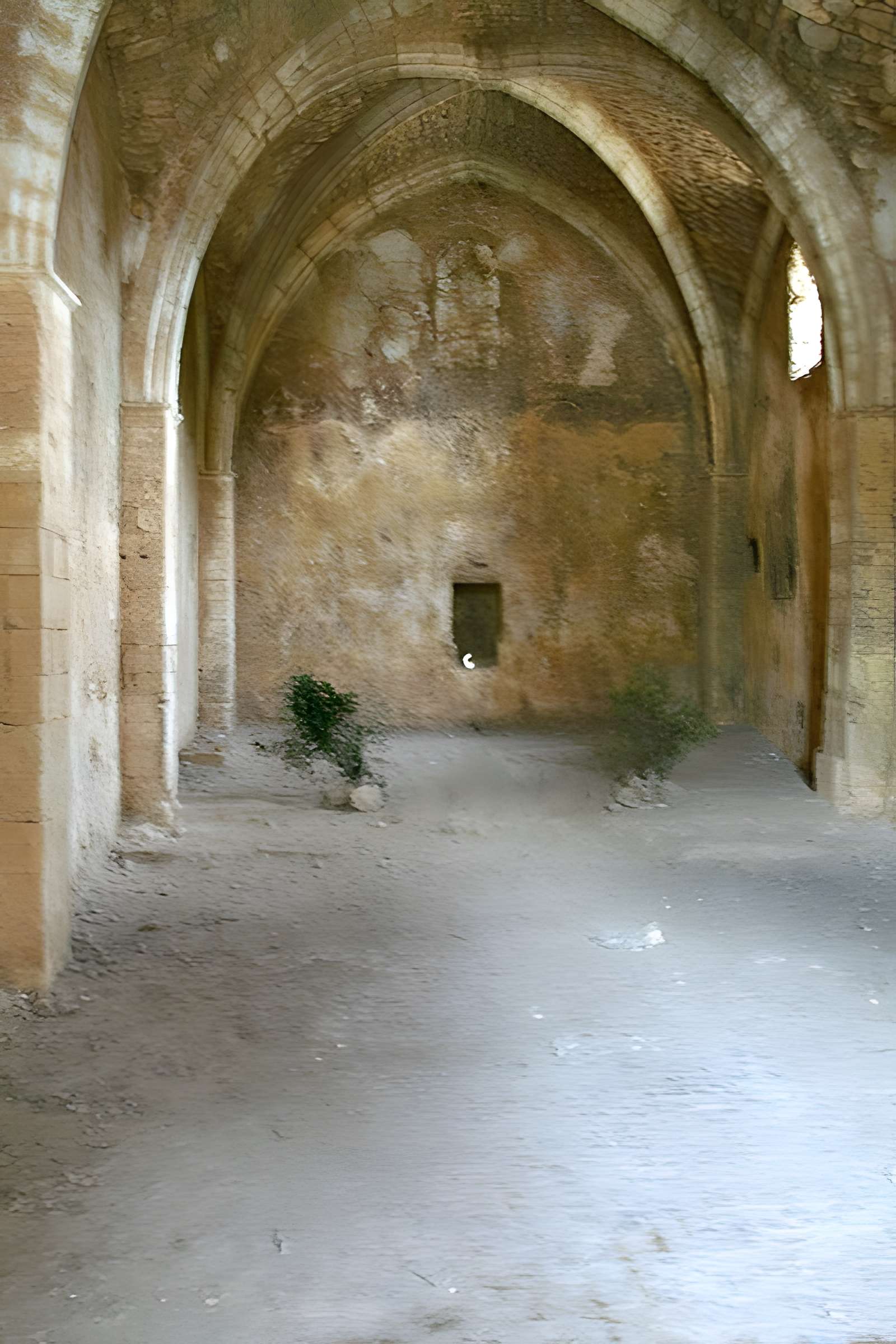 Ensemble médiéval du Castellas