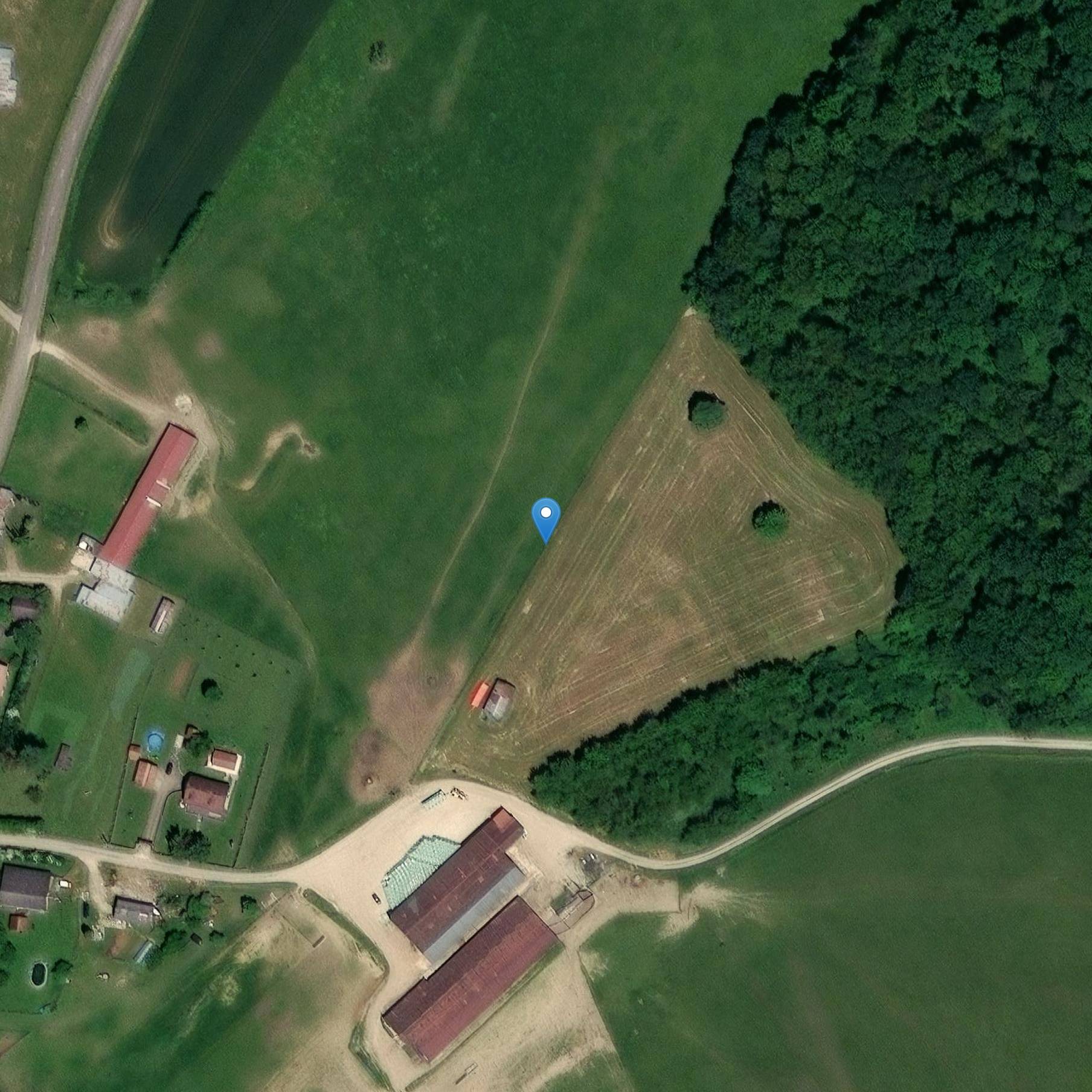 Photo de City Hall, Peace Justice and Amance School