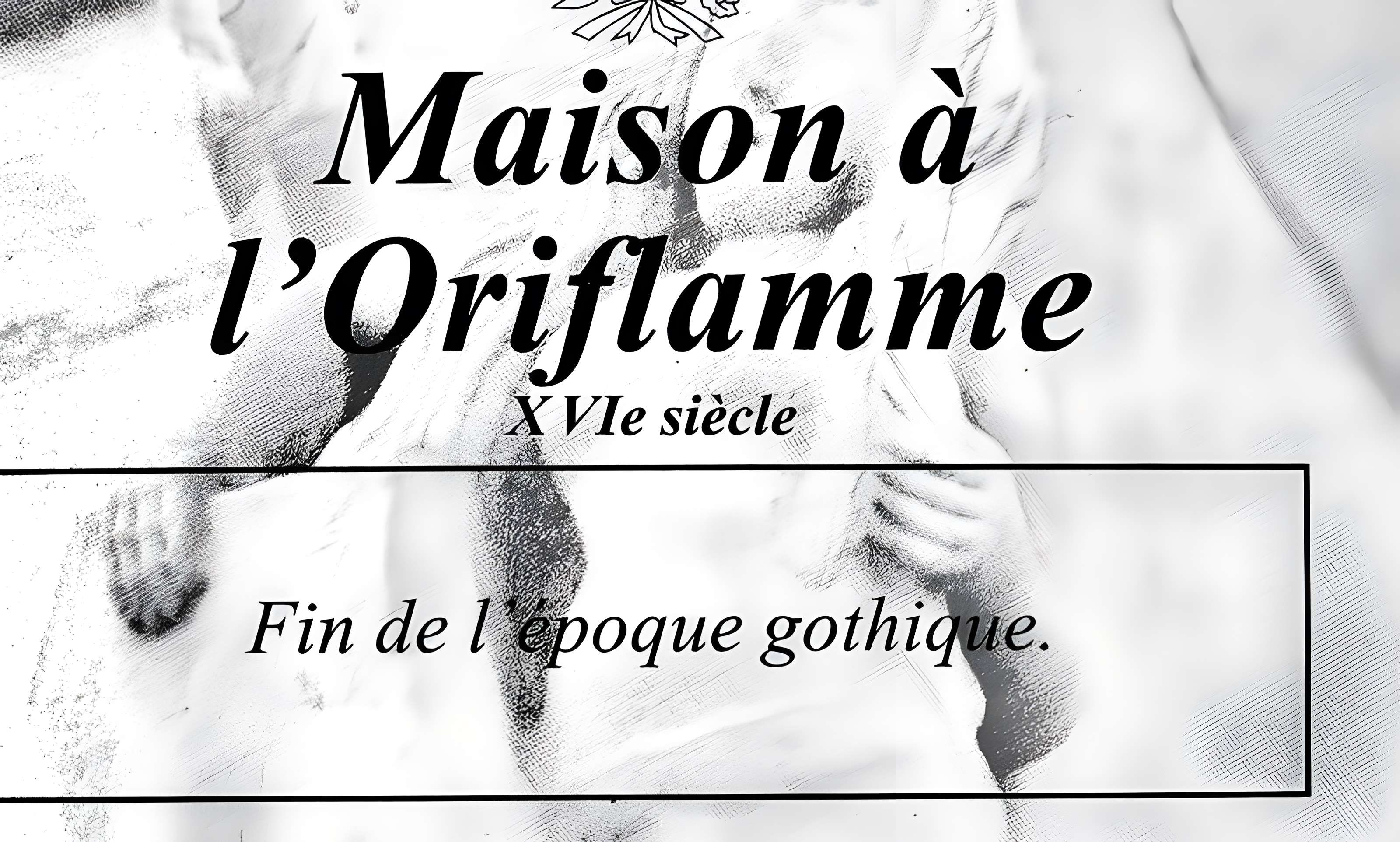 Maison à l'oriflamme à Luxeuil-les-Bains